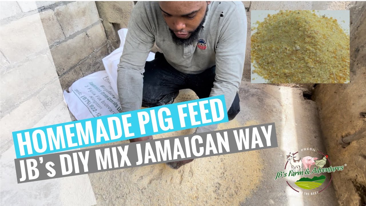 Homemade/DIY pig feed Jamaica #876