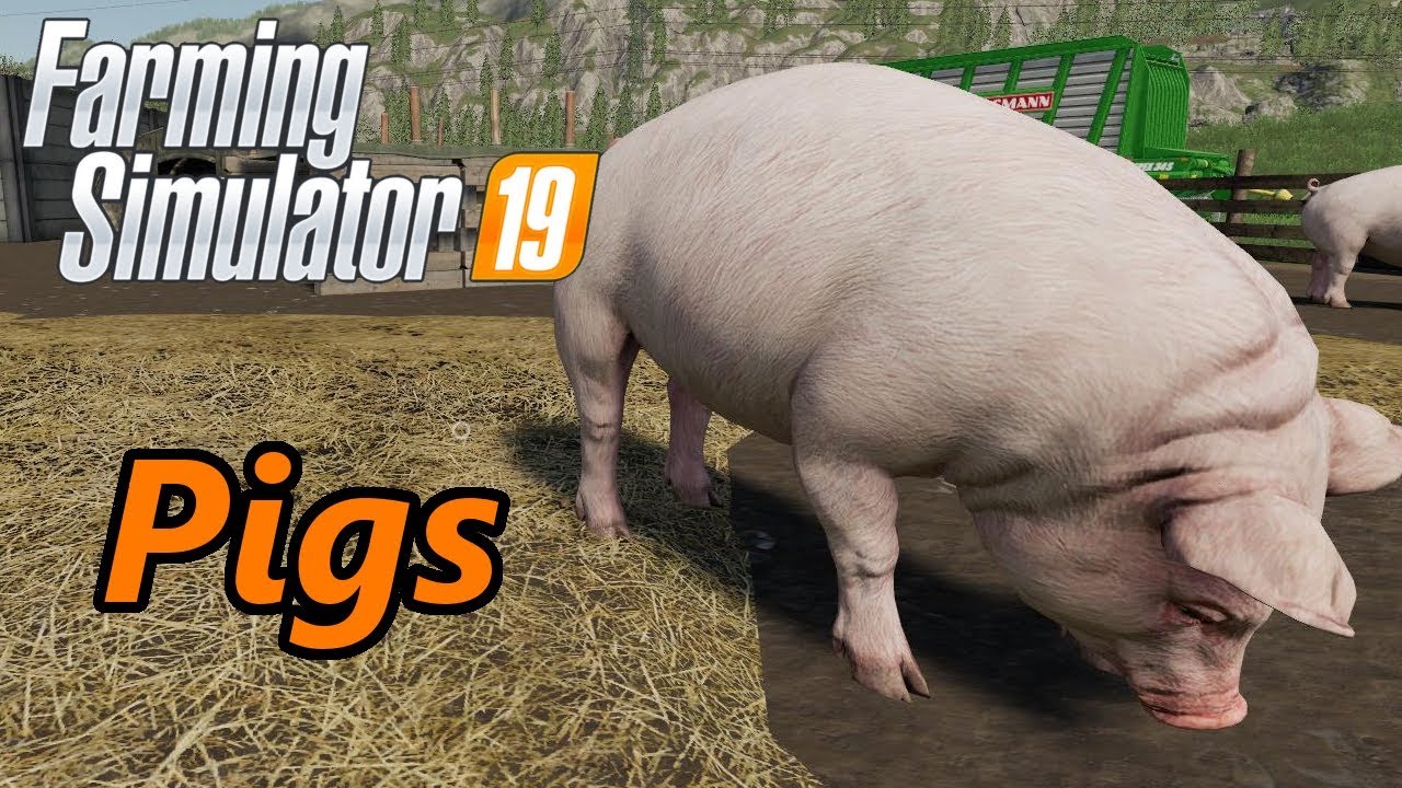 Обучающее видео Farming Simulator 19 | Свиньи