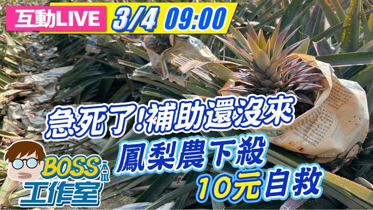 【BOSS工作室 直播LIVE】20210304 鳳梨禁令影響農民生計 農民含淚賠售一顆$10