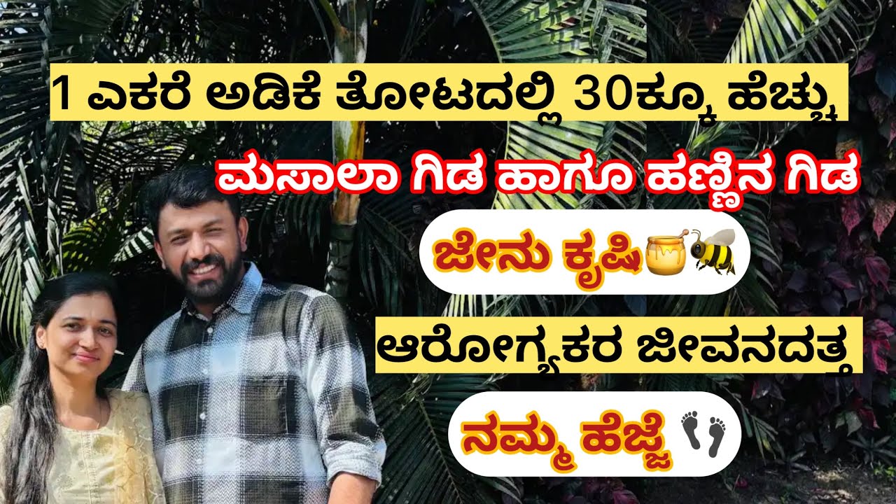 1 ಎಕರೆ ಅಡಿಕೆ ತೋಟದಲ್ಲಿ 9 ಮಸಾಲೆ+15 ತರದ ಹಣ್ಣು ಬೆಳದಿದಿವಿ|ಜೇನು ಕೃಷಿ|ಆರೋಗ್ಯಕರ ಜೀವನದತ್ತ ನಮ್ಮ ಹೆಜ್ಜೆ