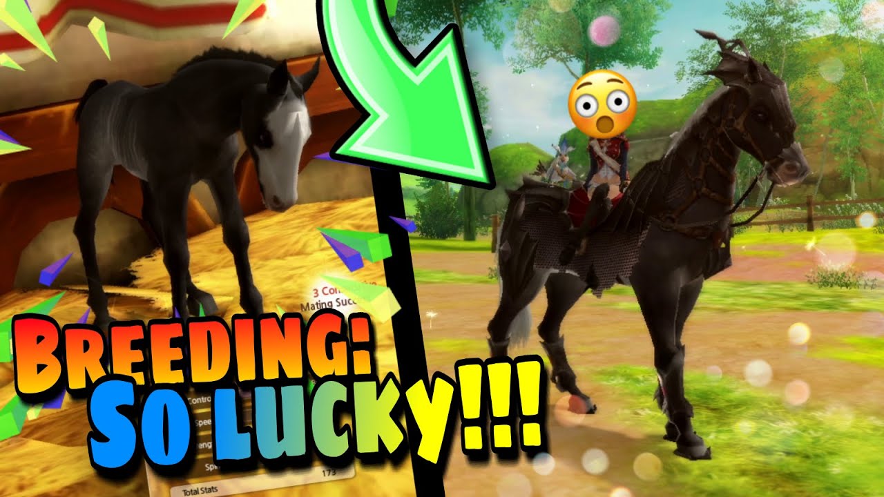 THE RABICANO LOVES ME - Alicia Online Breeding [Edited]