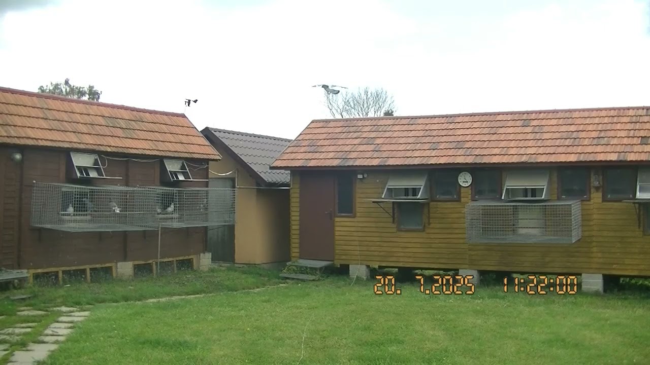 Lot nr 11/25  Krobia 2 (351 km.)