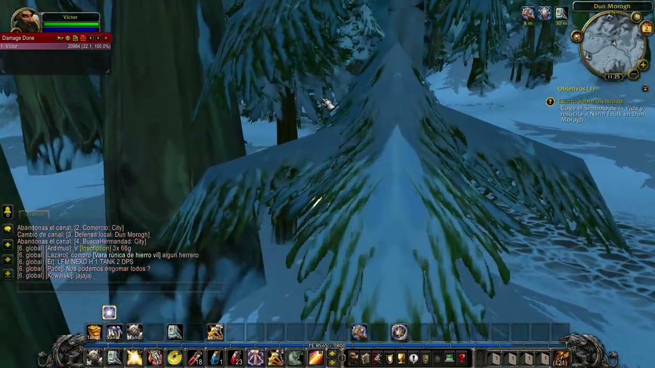 Paladín Reprensión, leveo, WoW 3.3.5. Wow Patagonia. #2 Victor.
