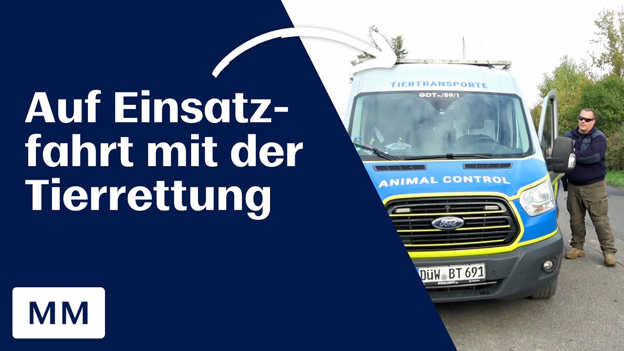 Wie „Animal Control“ Tieren in Mannheim und der Region das Leben rettet