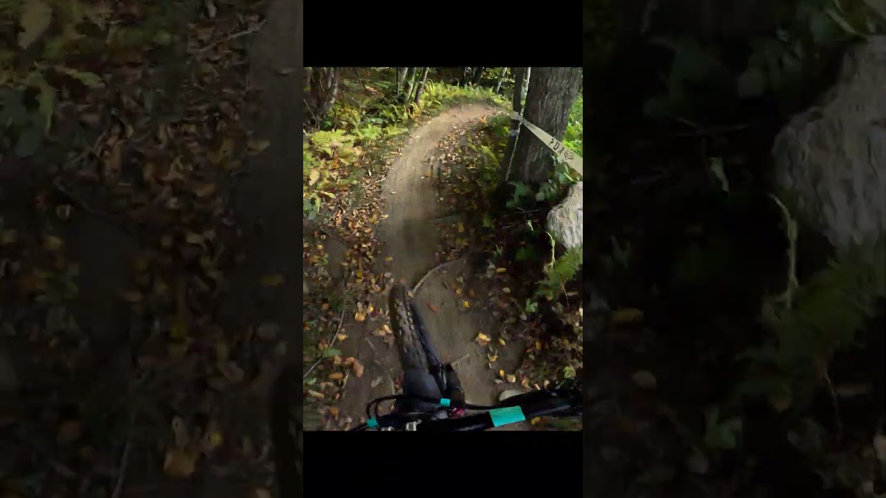 Sleeping Jake's 😴 to Powder Blue 🐦 @thundermountainbikepark #dh #downhill #mtb #sendit #tech #blue