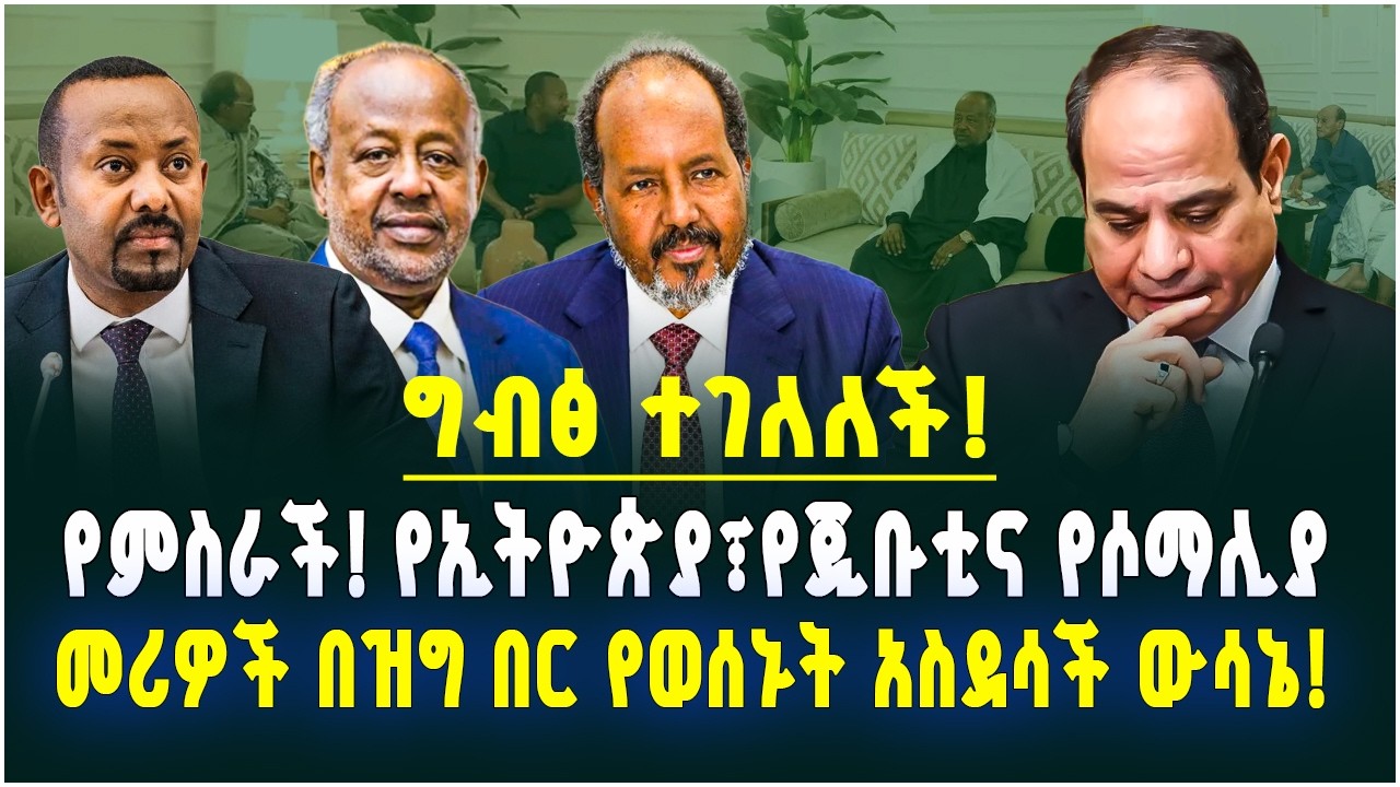 የምስራች! ግብፅ ተገለለች! የኢትዮጵያ፣ የጂቡቲ እና የሶማሊያ መሪዎች በዝግ በር የወሰኑት አስደሳች ውሳኔ! የሦስቱ መሪዎች ስምምነት March 12, 2026