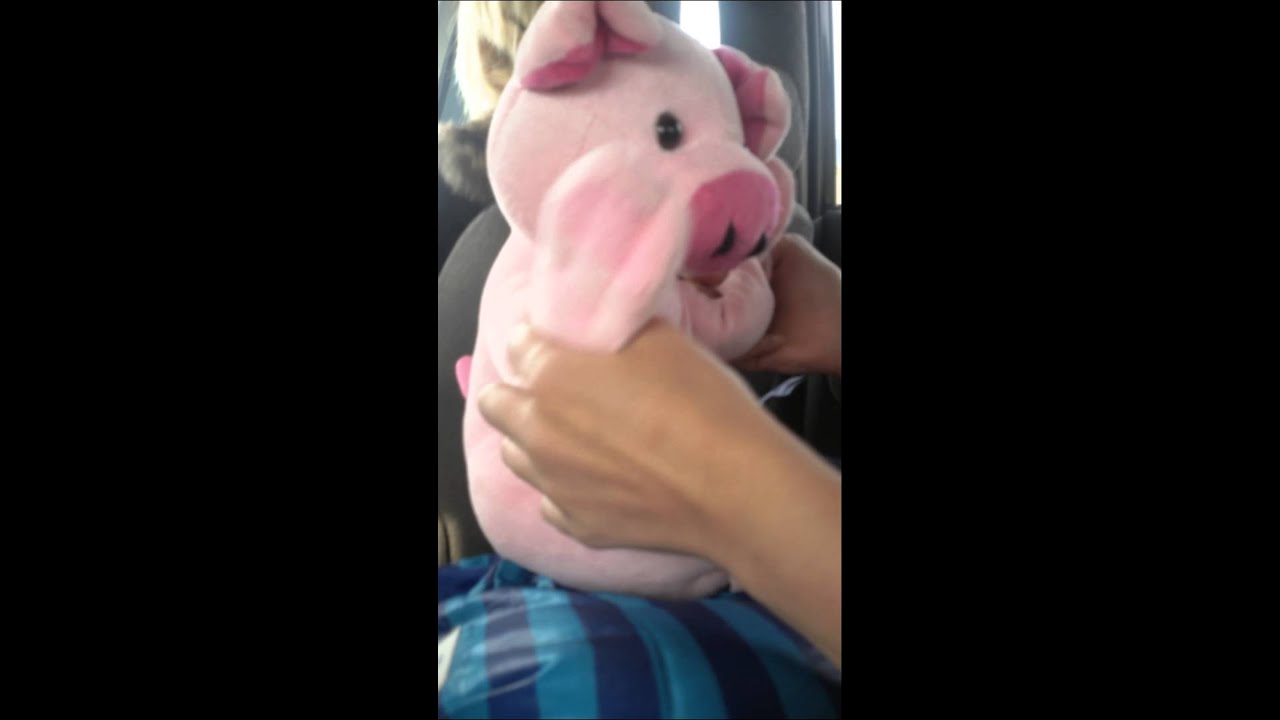 gochis sazareli istoria #1