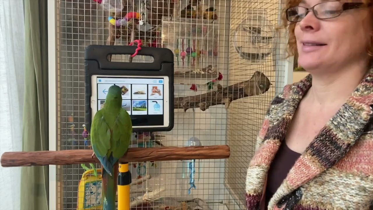 COMMUNICATIE REVOLUTIE BIJ HUISDIEREN