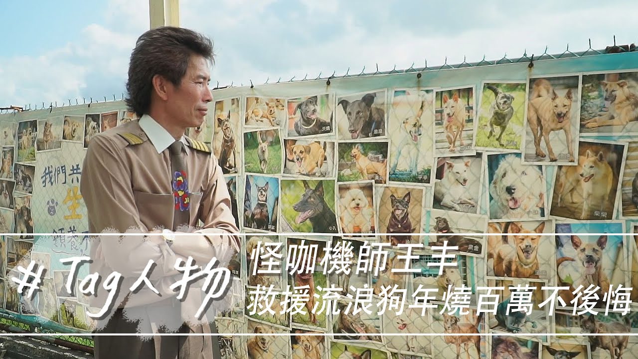 Tag人物／怪咖機師王丰 救援流浪狗年燒百萬不後悔