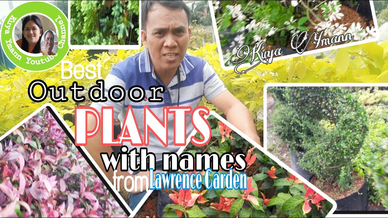 Best Outdoor Plants with Names Summer-Tour 2021/Kuya Ymann