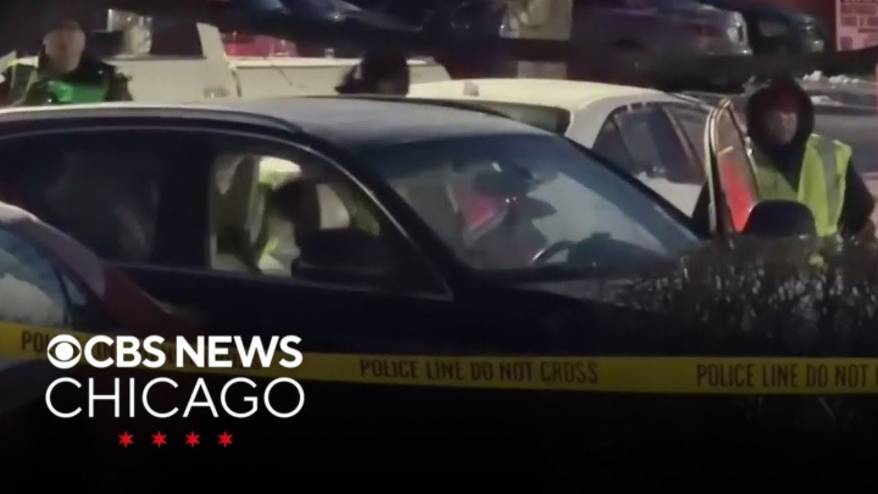 Driver dies after shooting, crash in Palatine, Illinois