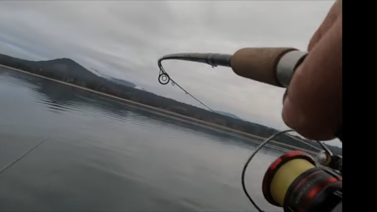livescope walleye!