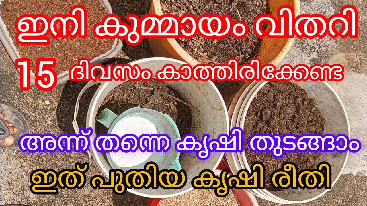 തമിഴ്‌നാട്ടിൽ നിന്നും പച്ചക്കറി വരവ് നിലക്കുന്നു, കാലത്തിനൊപ്പം നമുക്കും മുന്നേറാം