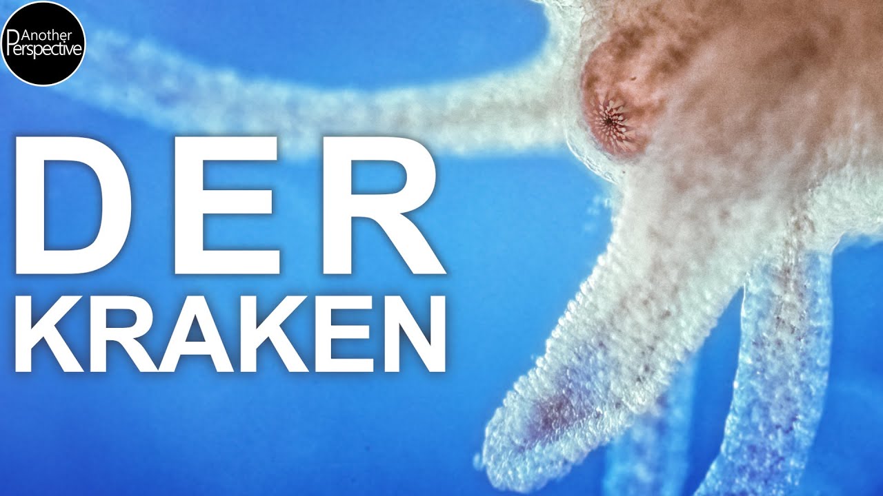 Hydra | Das unsterbliche Lebewesen unter dem Mikroskop