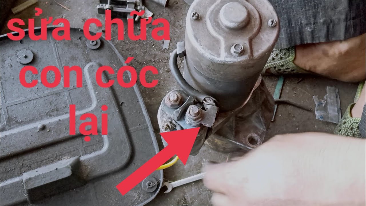 cách sửa chữa và xử lý con cóc và thai cọc