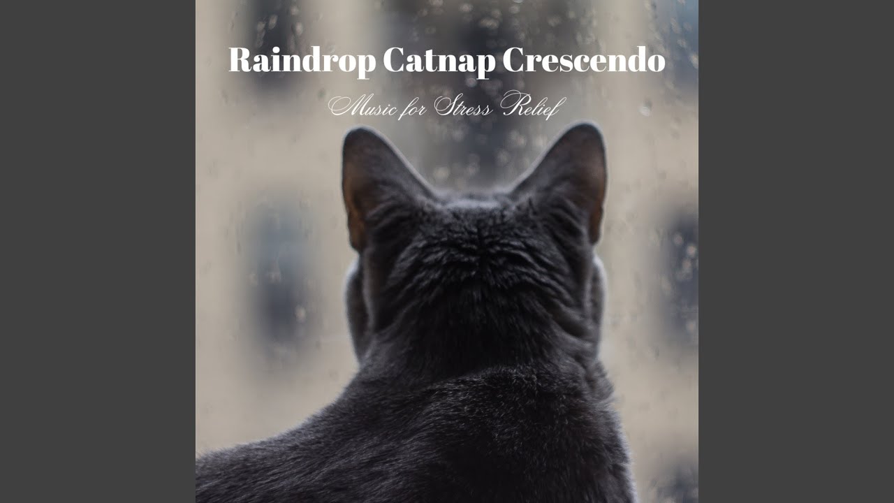 Raindrop Duet and Purr