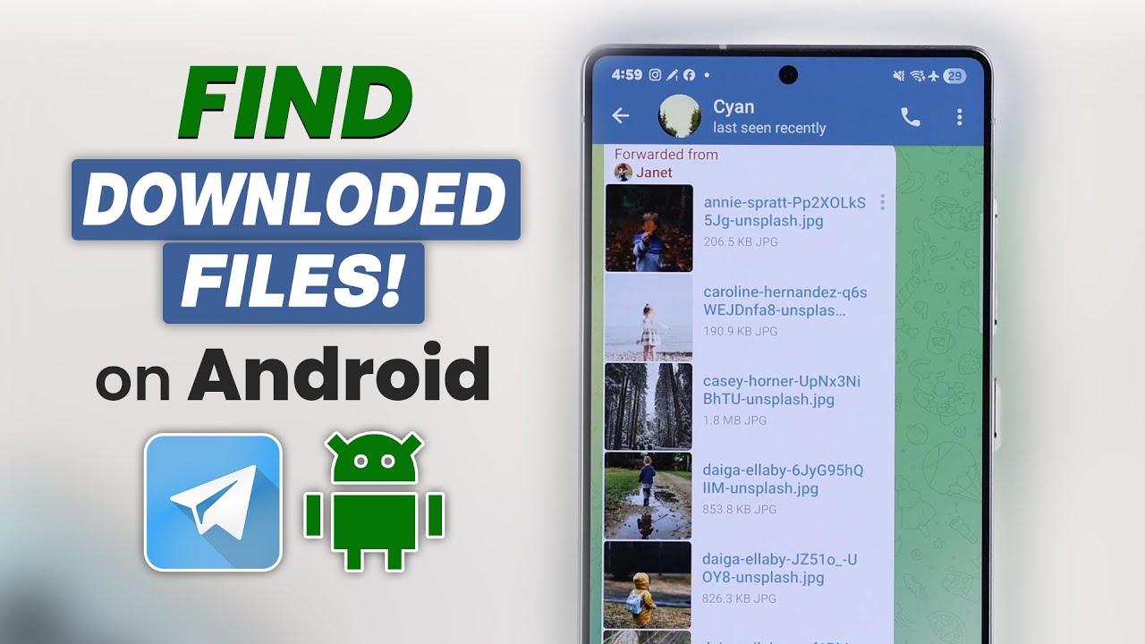 Не можете найти загруженные файлы Telegram? Вот где их найти на Android!