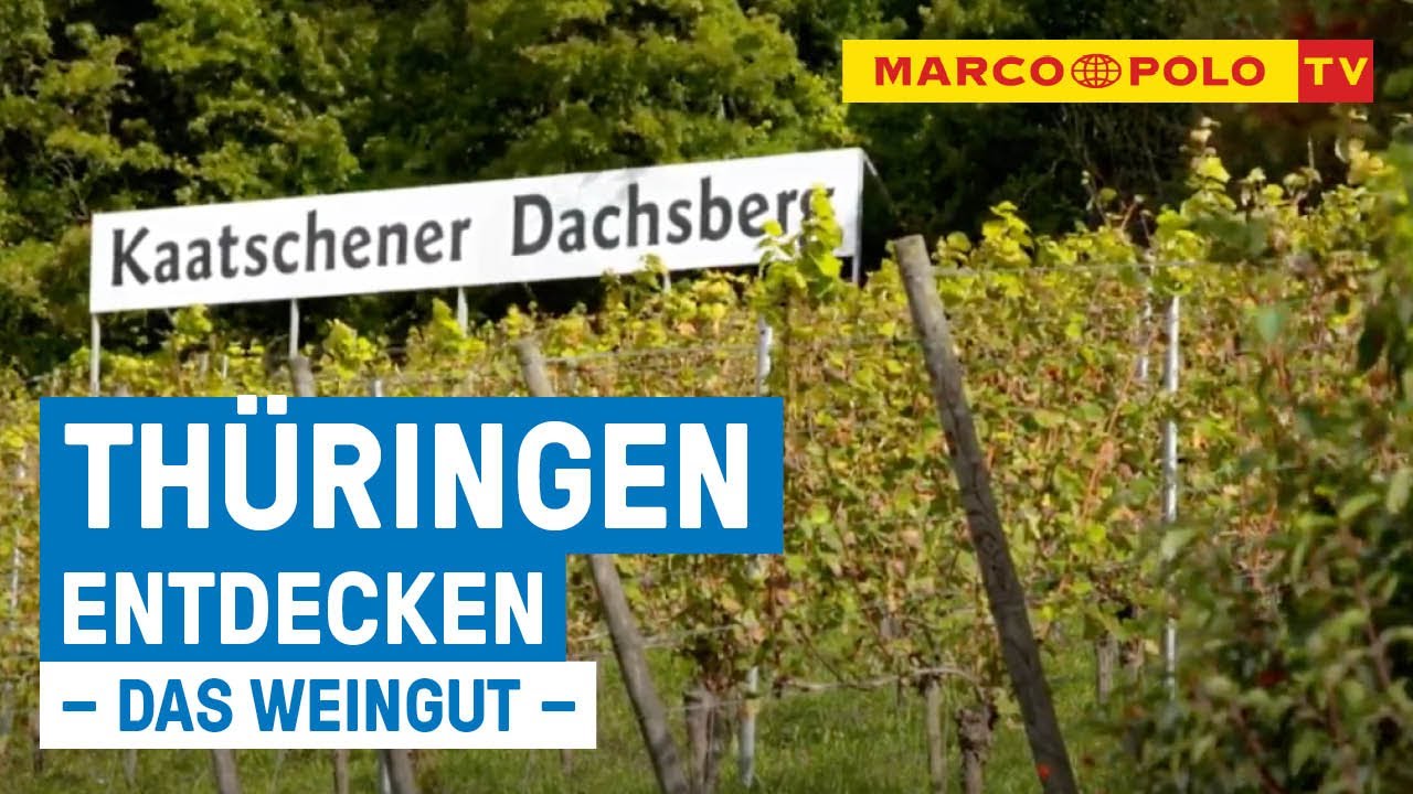 Entdecken Sie Thüringen – Wein-Picknick an der Saale