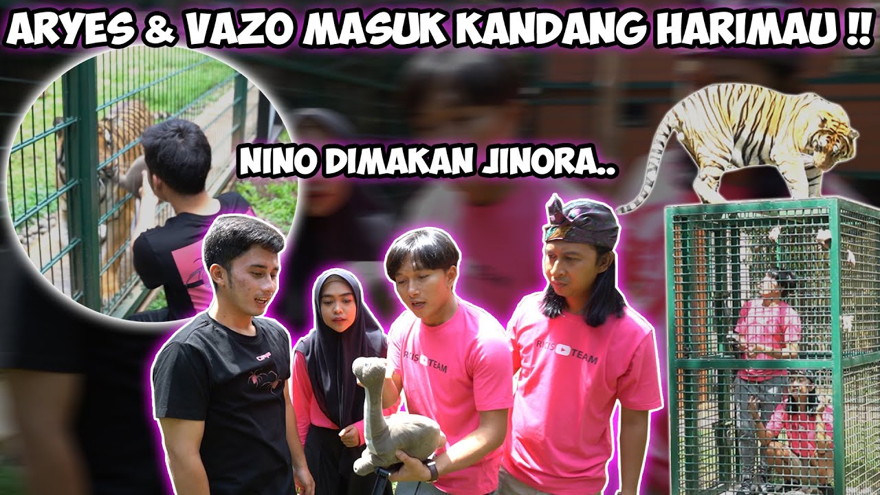 AKHIRNYA ARYES & VAZO MASUK KANDANG HARIMAU!! Nino Dimakan Jinora Wkwk || @AlshadAhmad