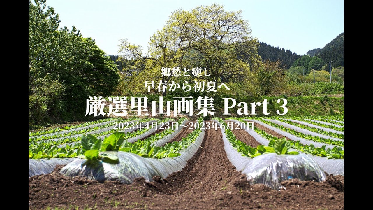 厳選里山画集 Part 3   春は短く季節を追うのに忙しい。やがて万緑のけだるい夏を迎える。