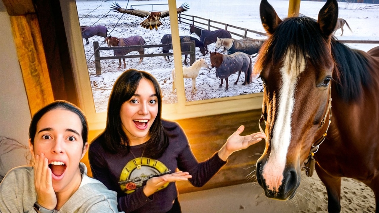 GRAVAMOS O CLIPE EM CIMA DO ESTÁBULO DOS CAVALOS! 📹🐎🏠 #tônahighschoollele