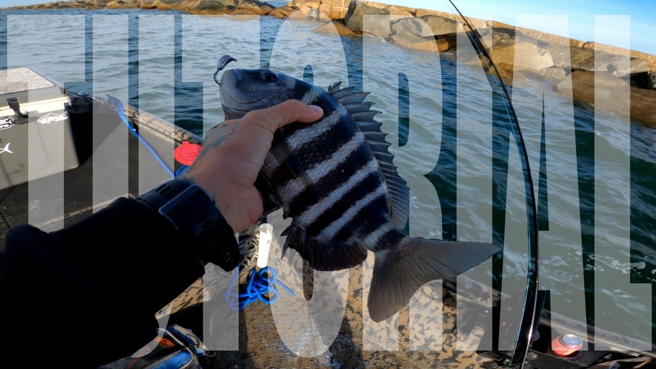 PART 1 SHEEPSHEAD how to fishing in Mayport, FL. #fishing #viral #florida