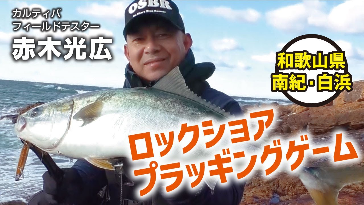 南紀白浜のロックショアプラッギングゲーム