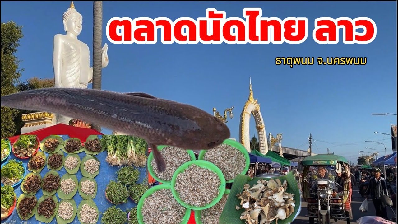 ตลาดนัดไทยลาว 1 ธค 68 บรรยากาศของขายหลาย คนหลายคึกคักคือเก่าจ้า #อาหารตามฤดูกาล  #ตลาดลาว