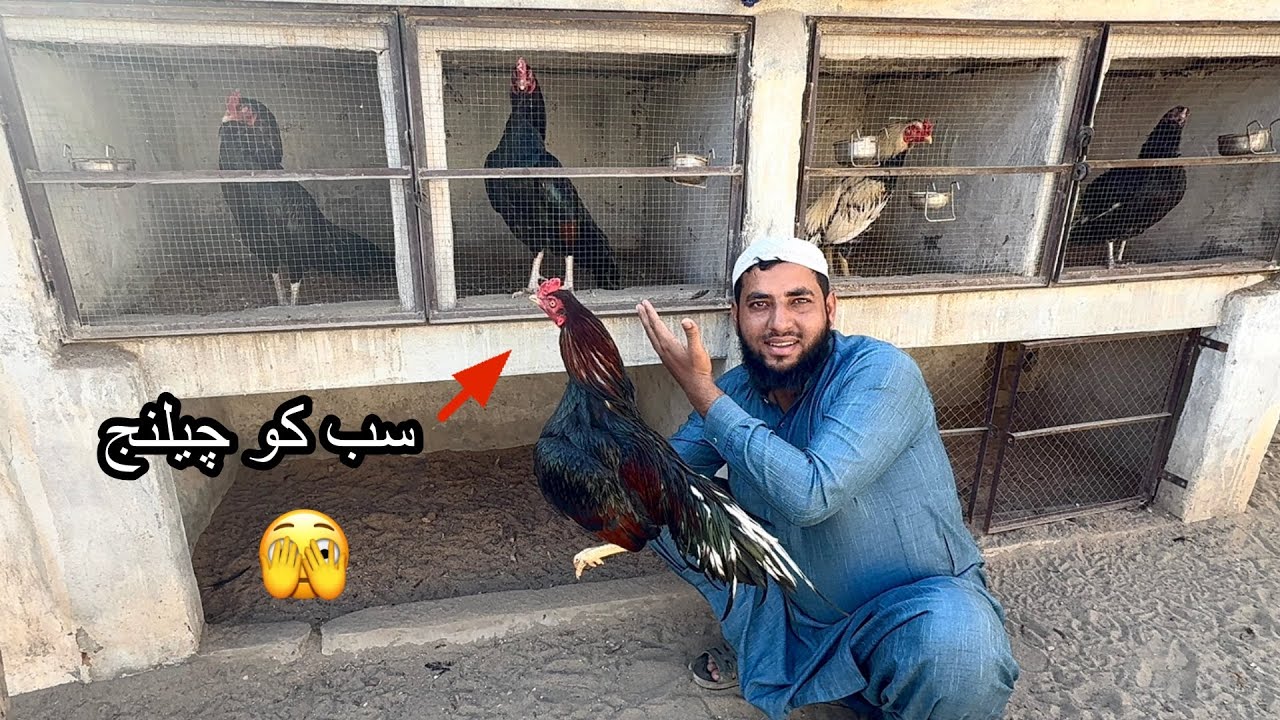 Dilbar Ka Sub Ko Challenge 🫣 Saare Ready 🤫