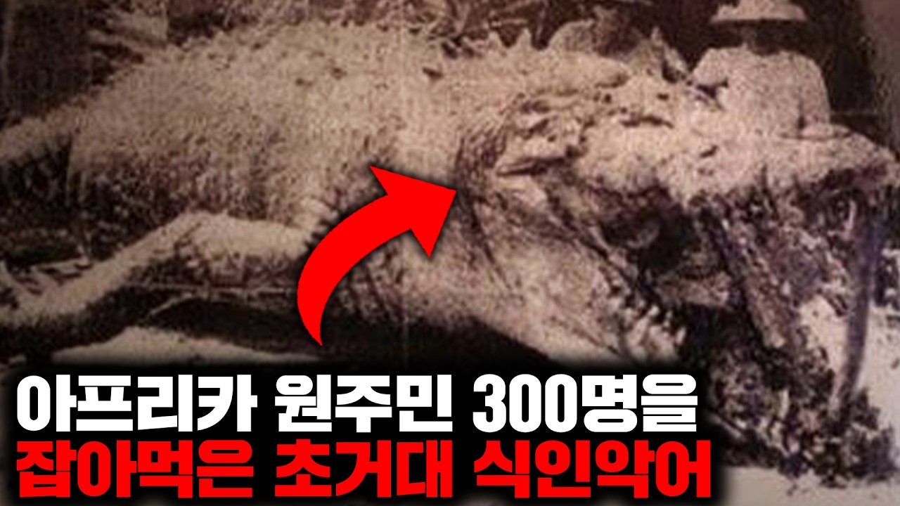 300명을 잡아먹었지만 현재까지도 포획되지 않은 전설의 식인악어 '구스타프' [자연]