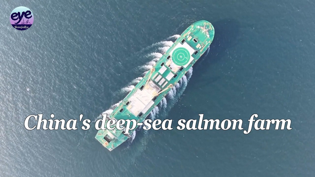 China's roving protein factory transforms deep-sea aquaculture