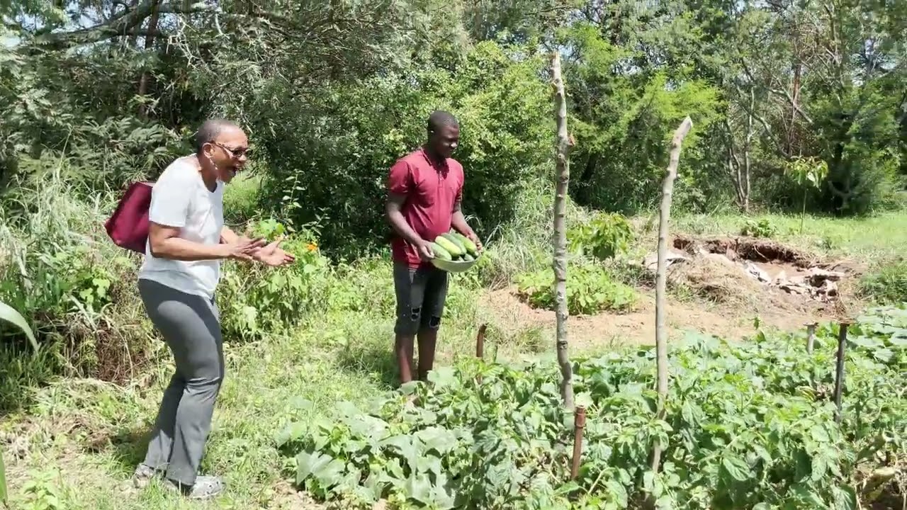 Building In Zimbabwe |  Update On The House Remodel | Garden