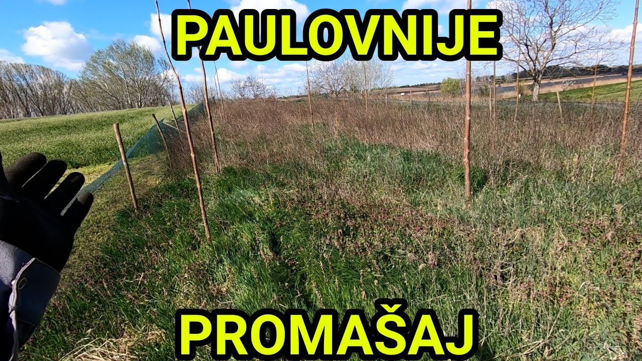 PAULOVNIJA JE MOJ NAJVEĆI PROMAŠAJ U ŽIVOTU