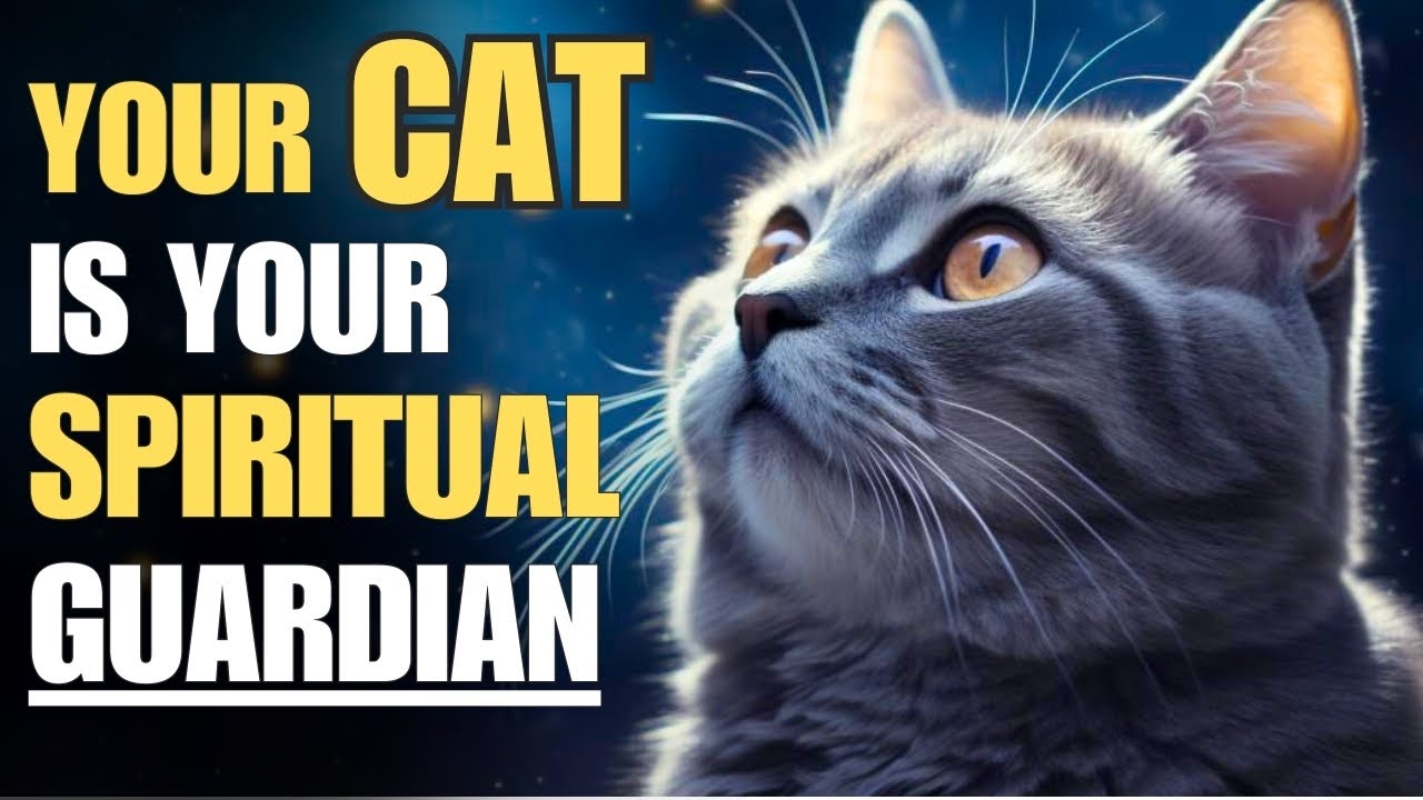 The spiritual meaning of every cat fur color | Cats are our spiritual guardians