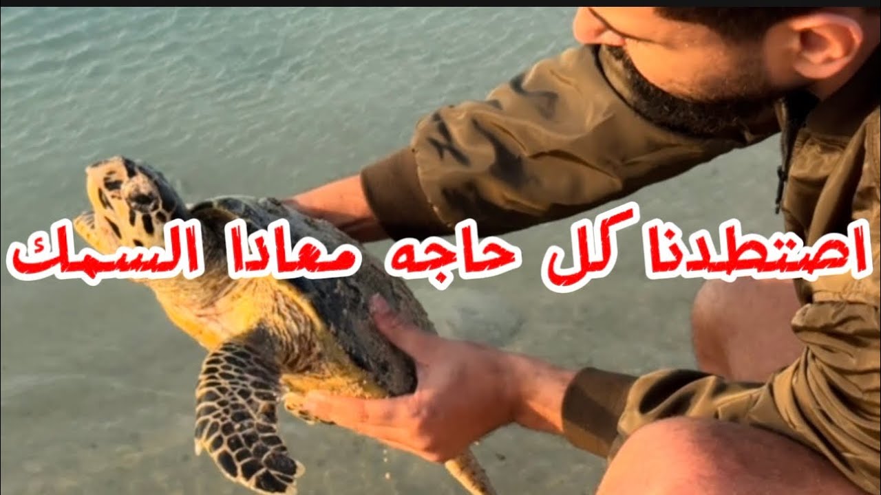 صيد غير متوقع في البحر  🌊 في اجواء جميله 💕