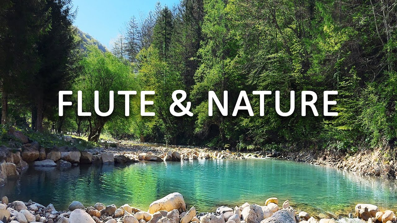 Emotional Reset – Native Flute & Nature Sounds for Deep Relief and Relaxation