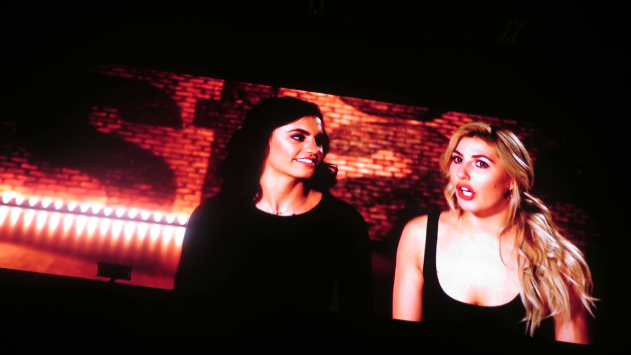 DWTS Light Up the Night Tour :  Male Pros Talking about the Female Pros
