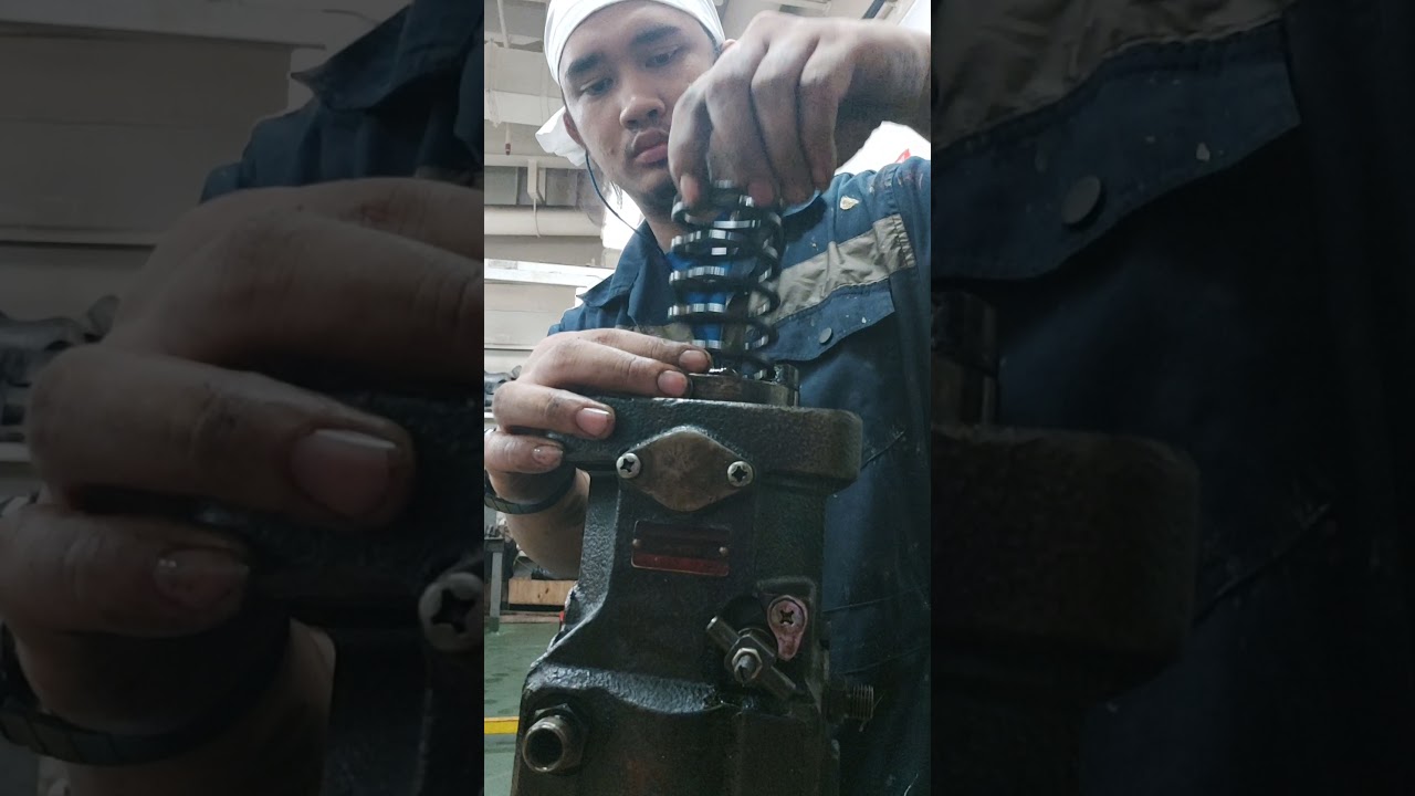 Yanmar DG| fuel pump overhaul