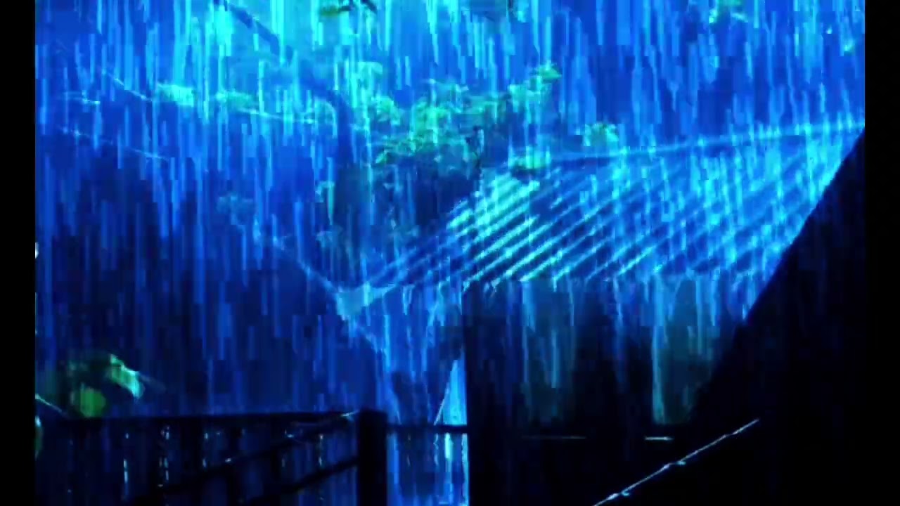 Midnight Rainstorm Ambience 🌧️ Deep Sleep & Relaxing Thunder Sounds for Stress Relief
