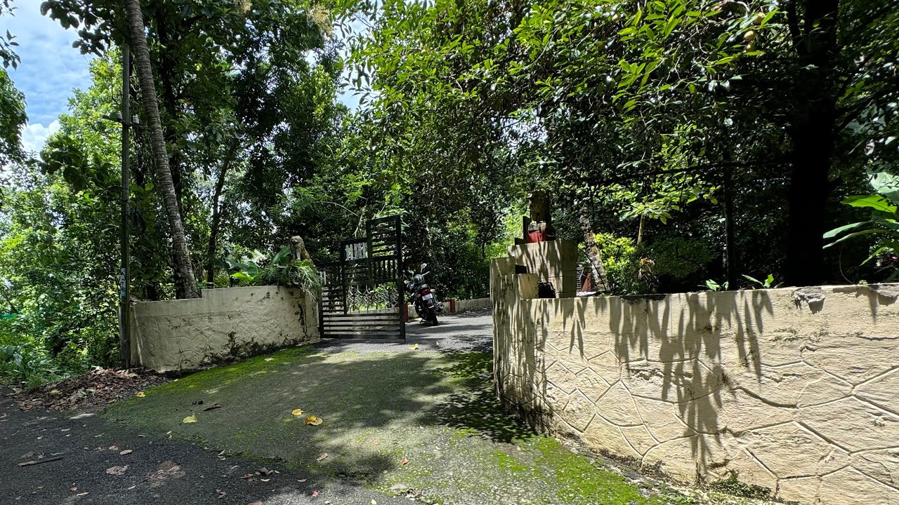 85 Cent Land with Old House for Sale in Ernakulam | 1.50 Lakh’s/Cent | Very Urgent Sale