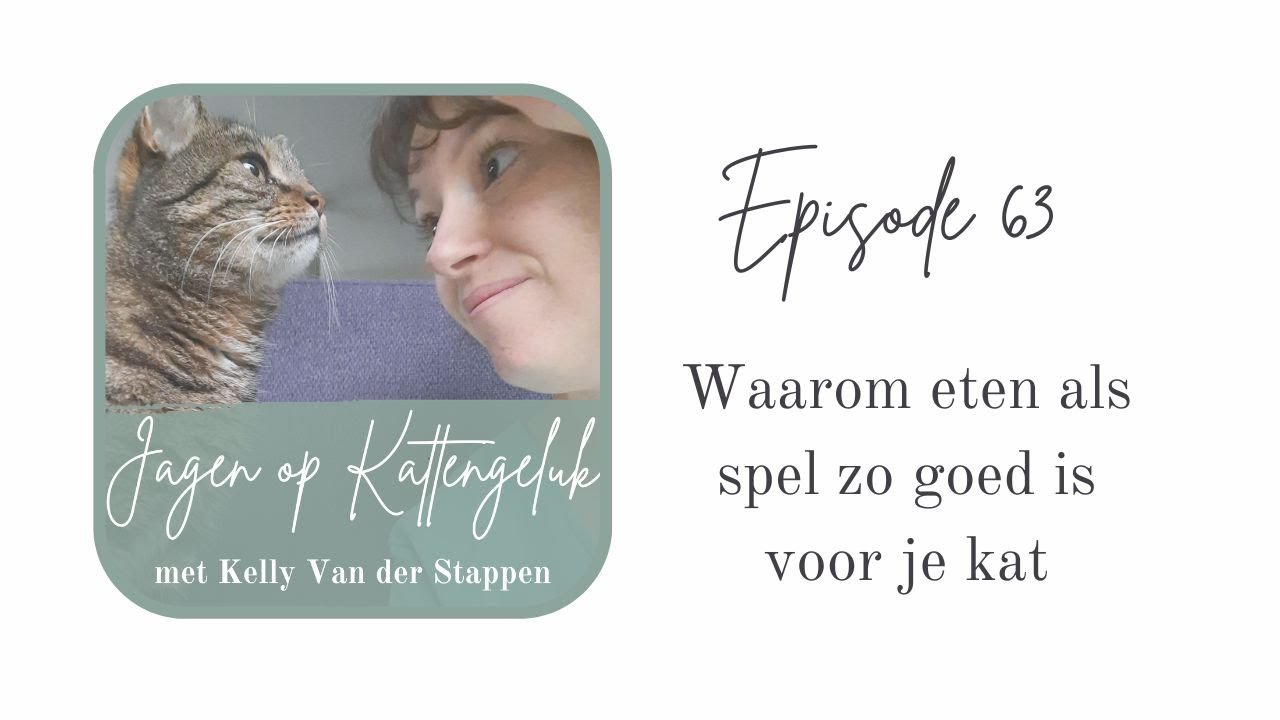 Waarom eten als spel zo goed is voor je kat #63