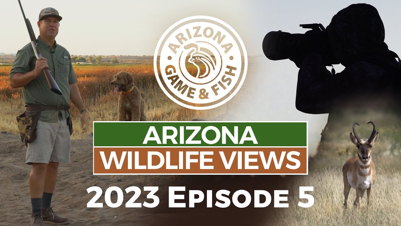 2023 Arizona Wildlife Views Episode 5 - 30 Minutes