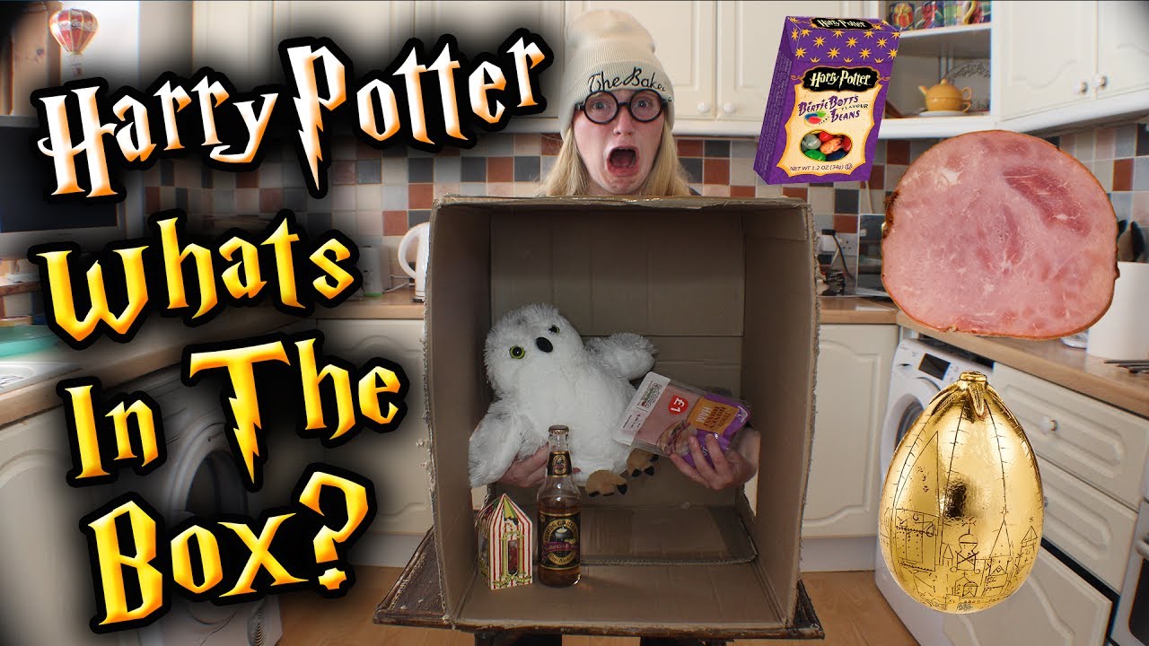 HARRY POTTER OR MUGGLE ITEM? - What's In The Box Challenge!