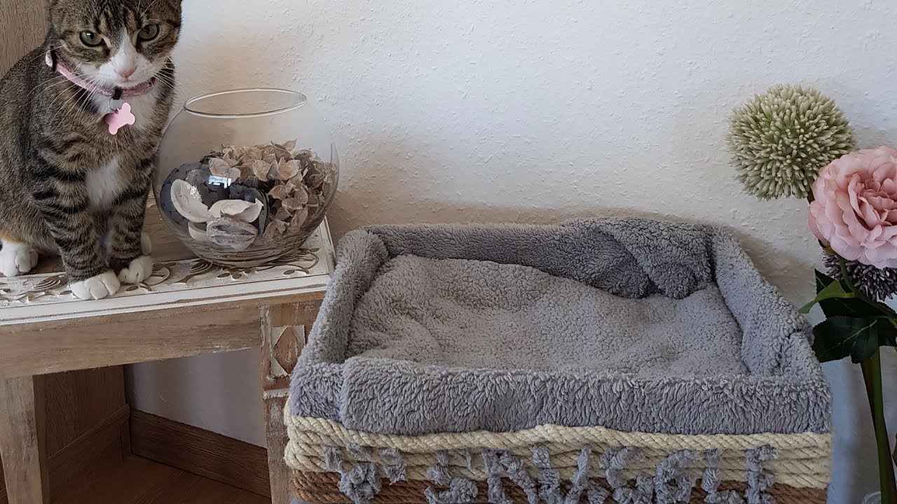 DIY Cat Furniture Ideas: How to Make a Cat Bed