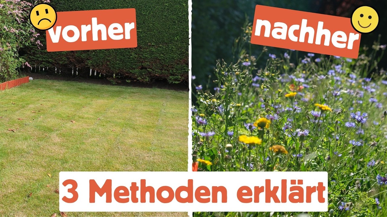 ❌ So legst du auf deinem RASEN eine Blühwiese an