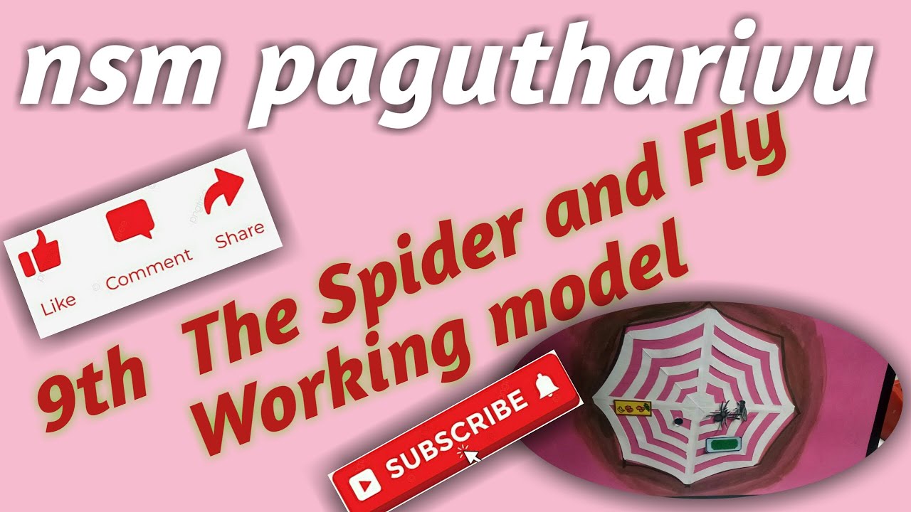 9th English Spider and Fly working model
