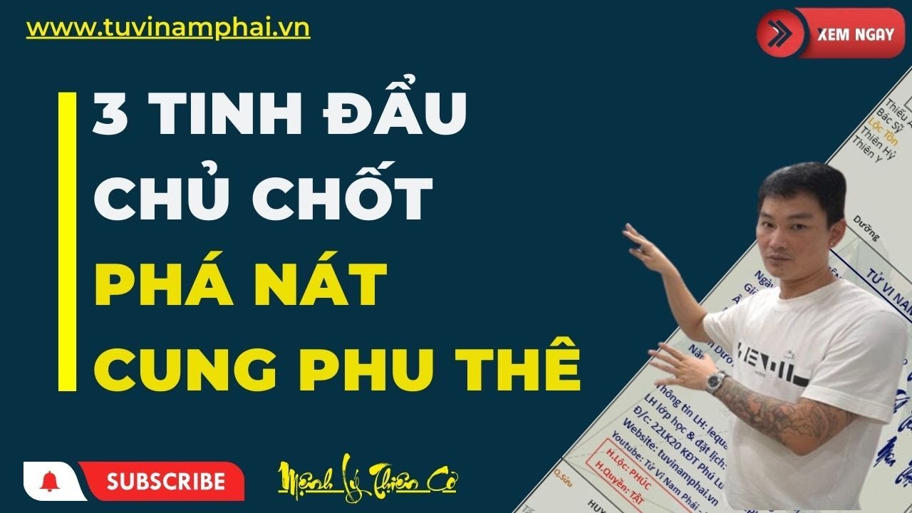 3 TINH ĐẨU PHÁ NÁT CUNG PHU THÊ | TỬ VI LÊ QUANG LĂNG | TỬ VI NAM PHÁI | MỆNH LÝ THIÊN CƠ