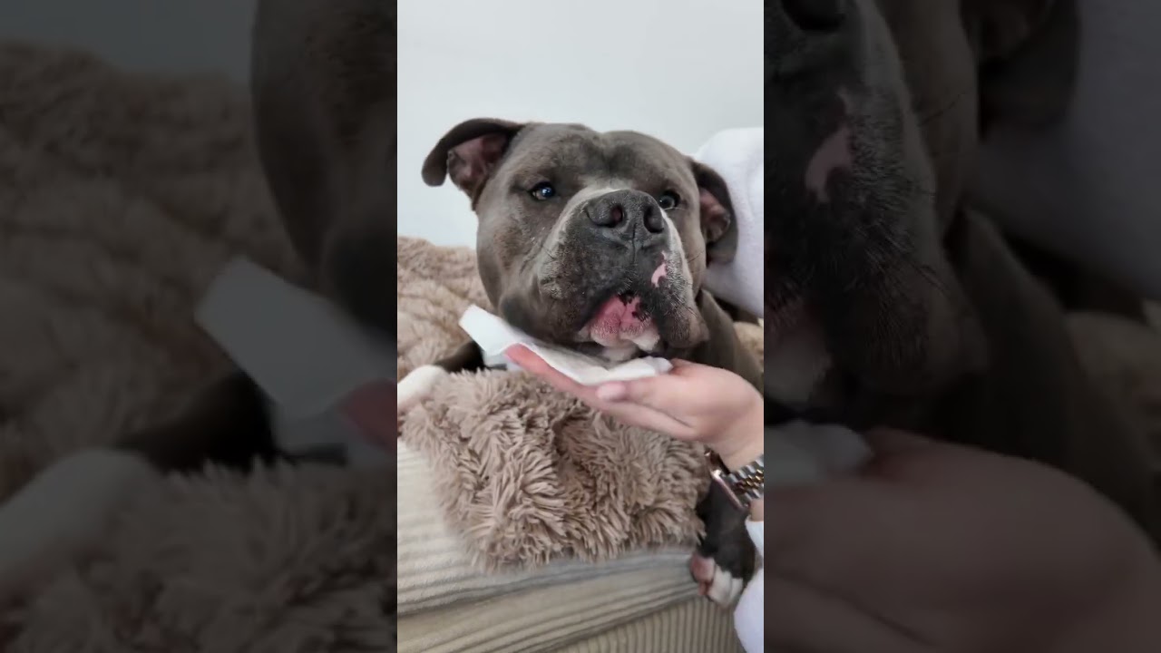 Cozy snowy morning routine ❄️🥰 