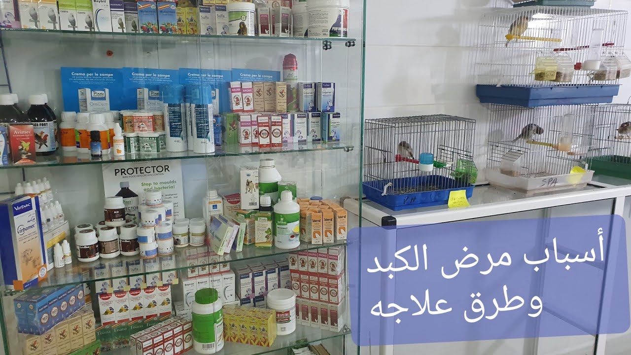 سامي محيوس في حوار مع الأخ محفوظ البيطري عن مرض الكبد و طرق علاجه لأول مرة ستسمعها أخي المربي