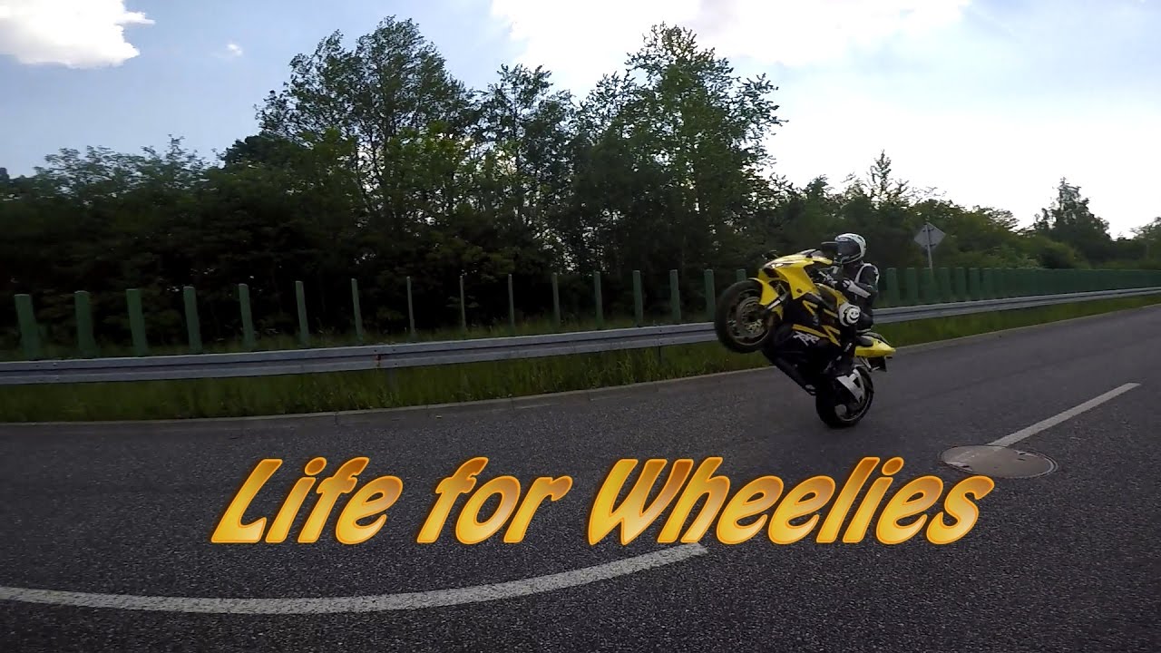 Kucin -  Life for Wheelies | Honda CBR 954 RR FireBlade
